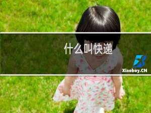 什么叫快递