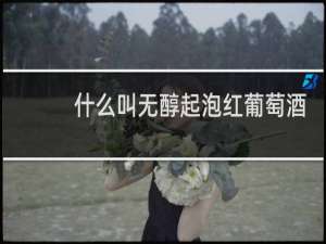 什么叫无醇起泡红葡萄酒