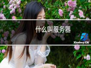 什么叫服务器（服务器介绍）