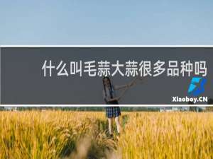 什么叫毛蒜大蒜很多品种吗