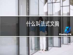 什么叫法式文胸