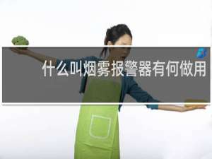 什么叫烟雾报警器有何做用