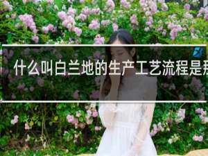 什么叫白兰地的生产工艺流程是那些
