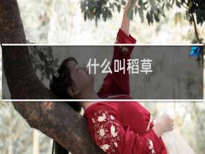 什么叫稻草