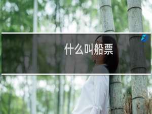 什么叫船票
