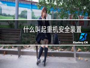 什么叫起重机安全装置