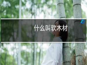 什么叫软木材