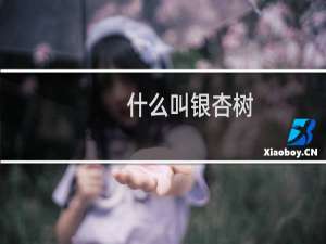 什么叫银杏树
