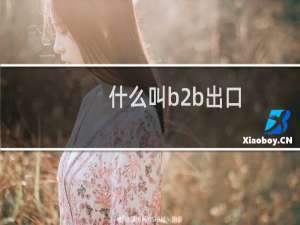 什么叫b2b出口