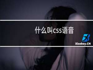 什么叫css语音