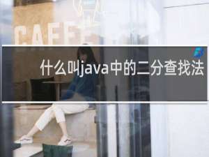 什么叫java中的二分查找法