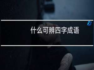 什么可辨四字成语