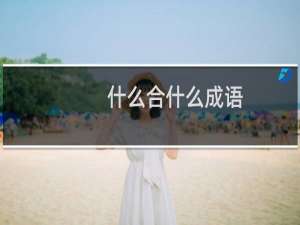 什么合什么成语