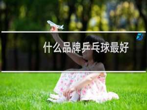 什么品牌乒乓球最好