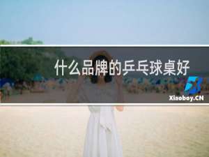 什么品牌的乒乓球桌好