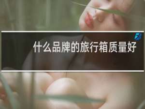 什么品牌的旅行箱质量好