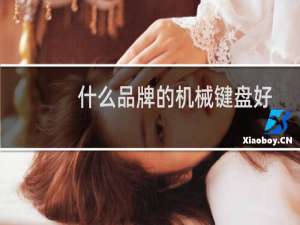 什么品牌的机械键盘好