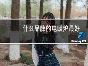 什么品牌的电暖炉最好