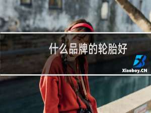什么品牌的轮胎好