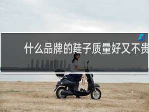 什么品牌的鞋子质量好又不贵