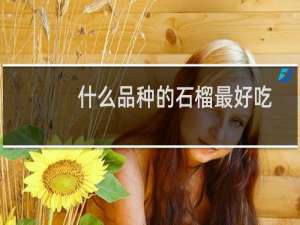 什么品种的石榴最好吃