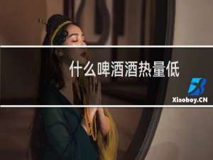 什么啤酒酒热量低