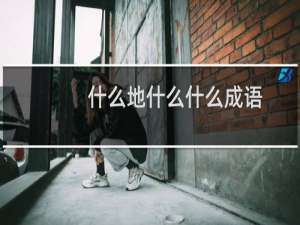 什么地什么什么成语