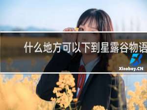 什么地方可以下到星露谷物语