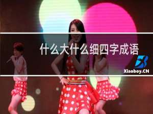 什么大什么细四字成语