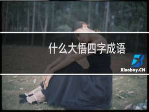什么大悟四字成语