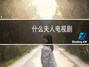 什么夫人电视剧