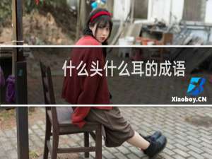 什么头什么耳的成语