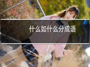 什么如什么分成语