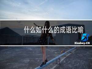 什么如什么的成语比喻
