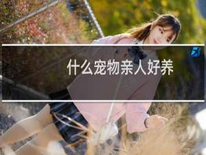 什么宠物亲人好养