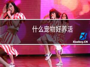 什么宠物好养活