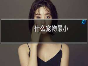什么宠物最小