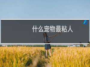 什么宠物最粘人