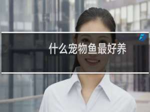 什么宠物鱼最好养