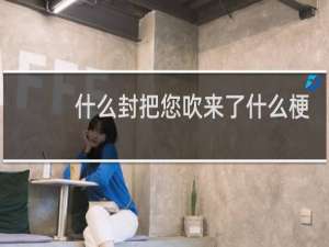 什么封把您吹来了什么梗？什么梗