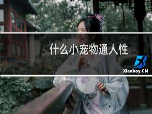 什么小宠物通人性
