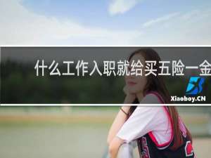 什么工作入职就给买五险一金