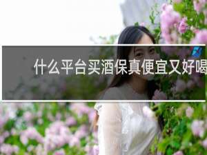 什么平台买酒保真便宜又好喝