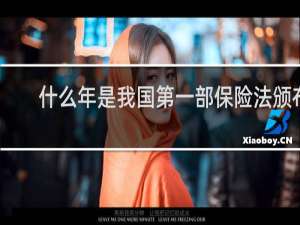 什么年是我国第一部保险法颁布