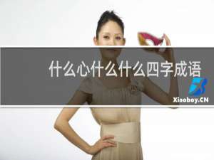 什么心什么什么四字成语