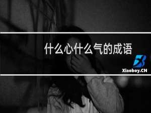 什么心什么气的成语