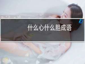 什么心什么胆成语