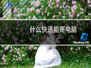 什么快递能寄电脑
