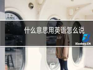 什么意思用英语怎么说