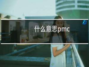 什么意思pmc